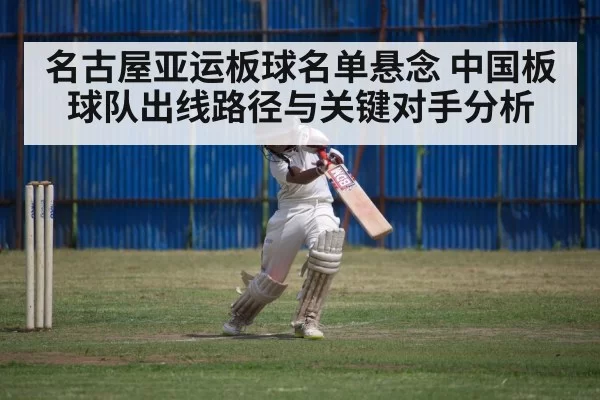 cricket match action
